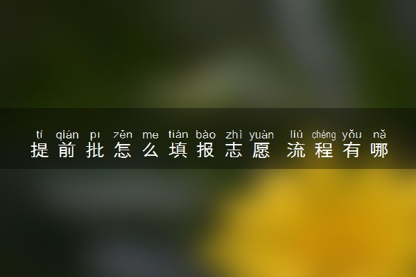 提前批怎么填报志愿 流程有哪些