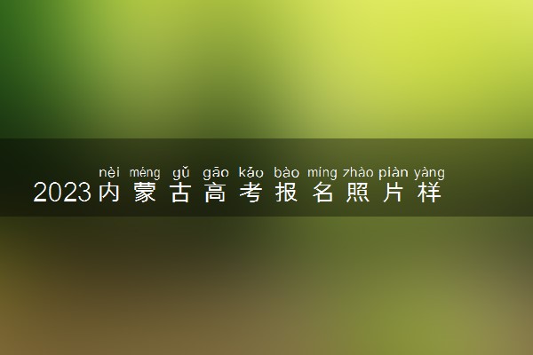 2023内蒙古高考报名照片样式要求几寸 用什么底的照片