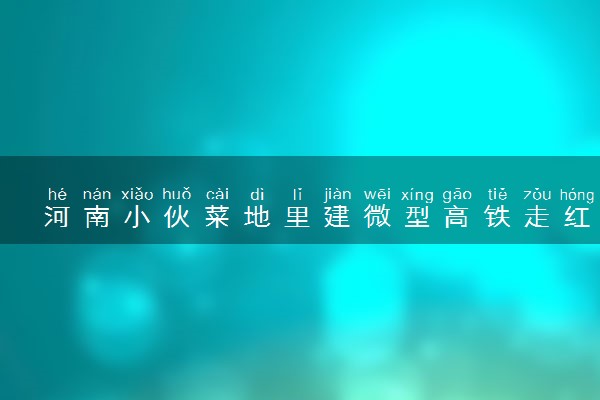 河南小伙菜地里建微型高铁走红 被评最美大学生具体情况