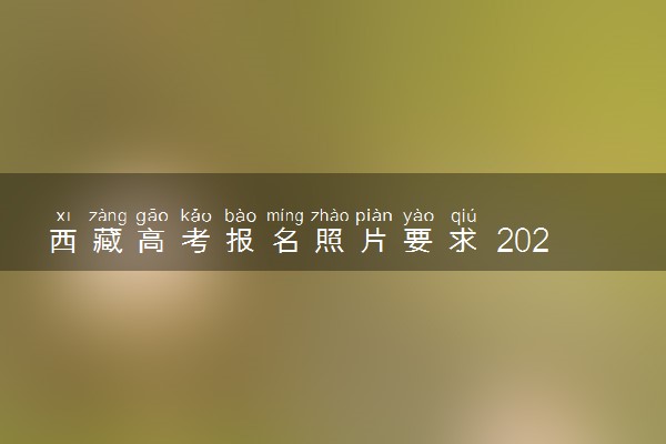 西藏高考报名照片要求 2023需要几寸相片