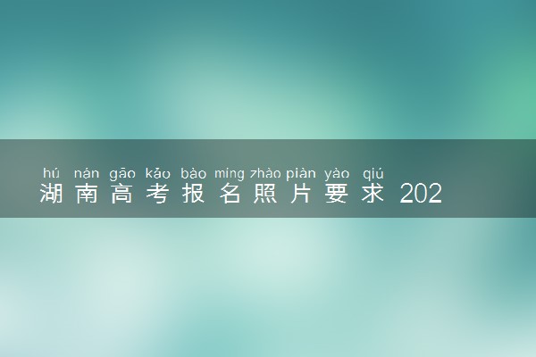 湖南高考报名照片要求 2023需要几寸相片