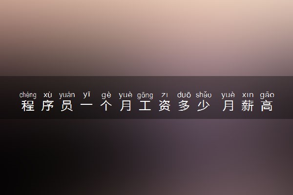 程序员一个月工资多少 月薪高吗