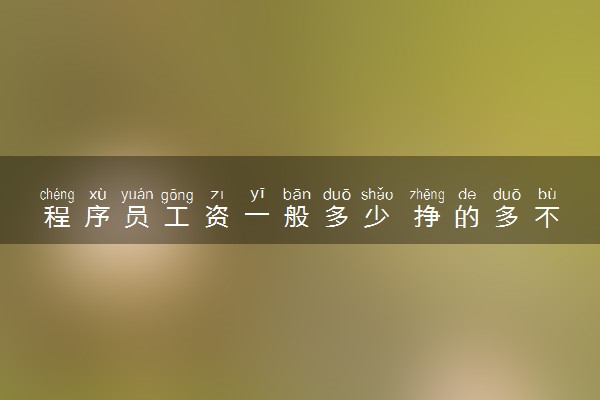 程序员工资一般多少 挣的多不多