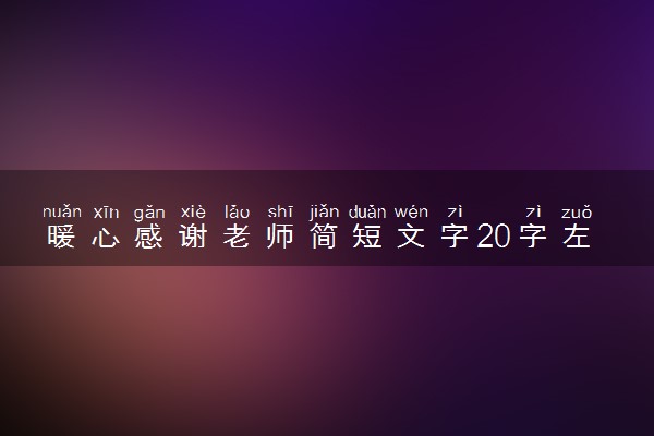 暖心感谢老师简短文字20字左右