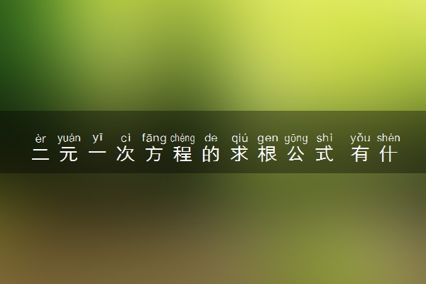 二元一次方程的求根公式 有什么解题方法