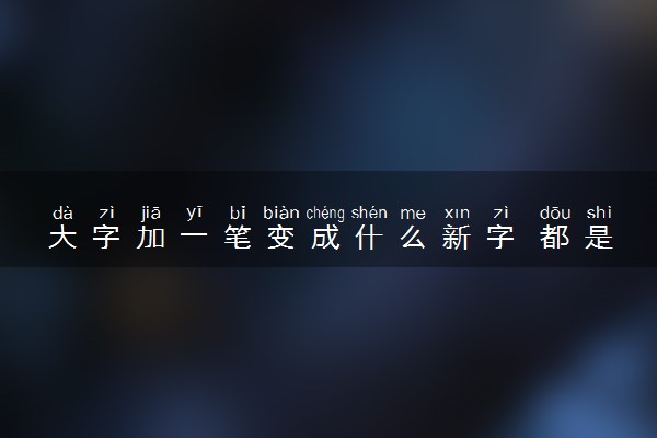 大字加一笔变成什么新字 都是什么字