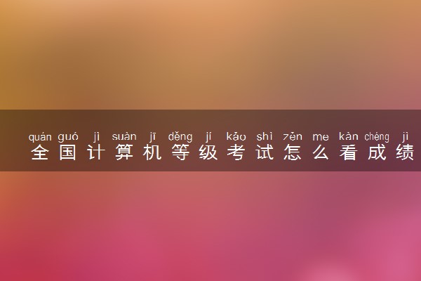 全国计算机等级考试怎么看成绩 有什么方法