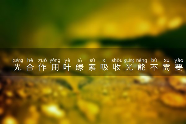 光合作用叶绿素吸收光能不需要酶 过程是什么