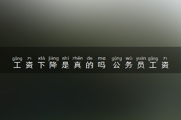 工资下降是真的吗 公务员工资待遇标准高吗