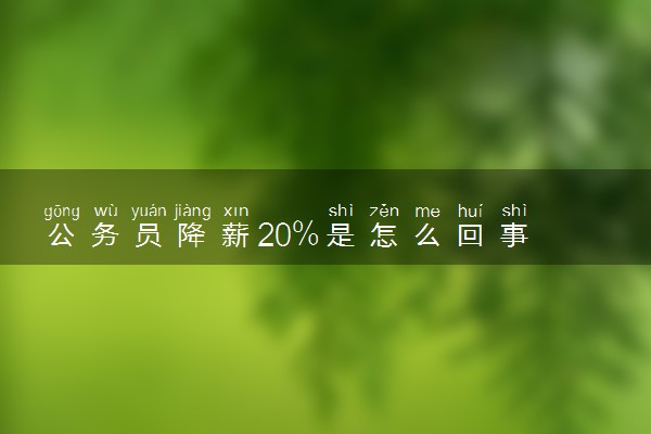 公务员降薪20%是怎么回事 2022公务员工资标准