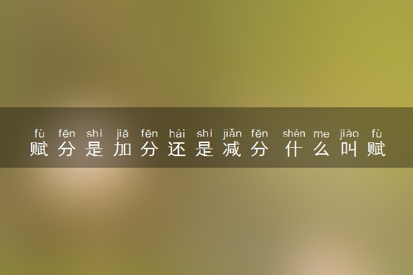 赋分是加分还是减分 什么叫赋分