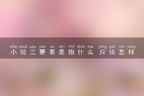 小说三要素是指什么 应该怎样理解