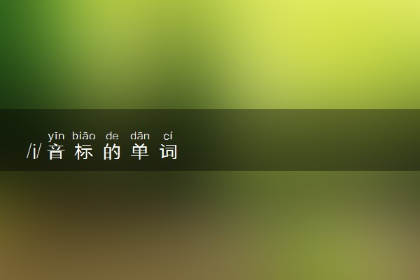 /i/音标的单词