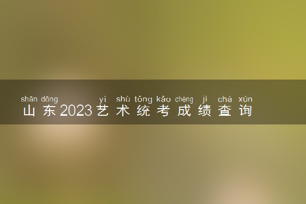 山东2023艺术统考成绩查询时间及入口 具体怎样查询