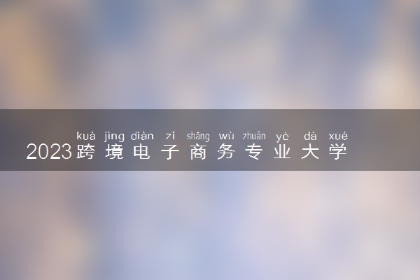2023跨境电子商务专业大学排行榜 最好高校排名名单汇总