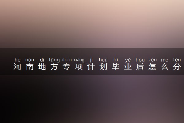 河南地方专项计划毕业后怎么分配