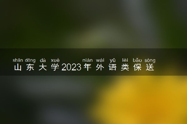 山东大学2023年外语类保送生报名方式及报名时间是什么 有什么要求