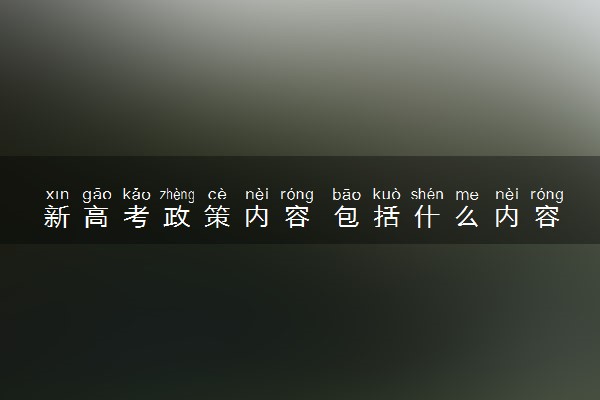 新高考政策内容 包括什么内容