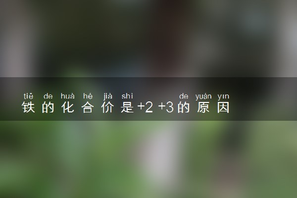 铁的化合价是+2 +3的原因 性质是