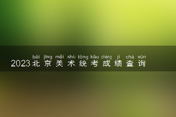 2023北京美术统考成绩查询时间 哪天公布分数