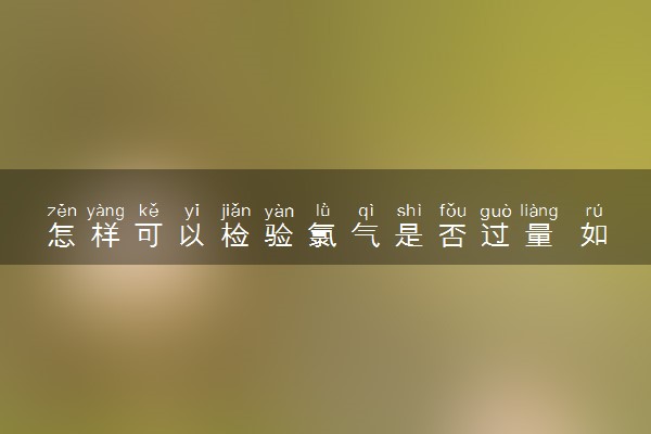 怎样可以检验氯气是否过量 如何检验