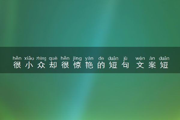 很小众却很惊艳的短句 文案短句