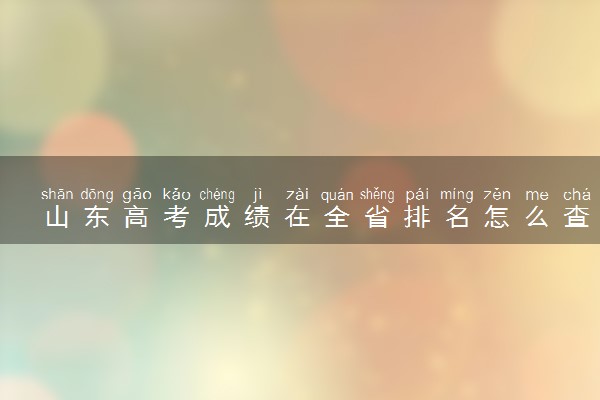 山东高考成绩在全省排名怎么查 2023山东位次查询方法