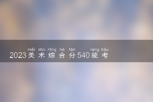 2023美术综合分540能考哪些大学 志愿填报注意什么