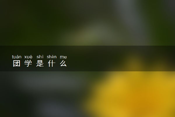 团学是什么