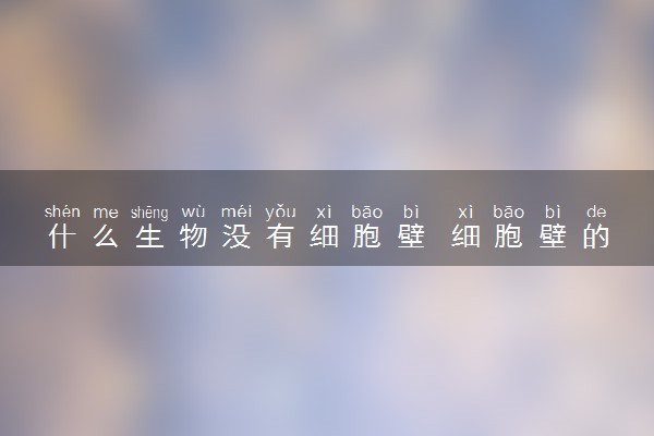 什么生物没有细胞壁 细胞壁的结构