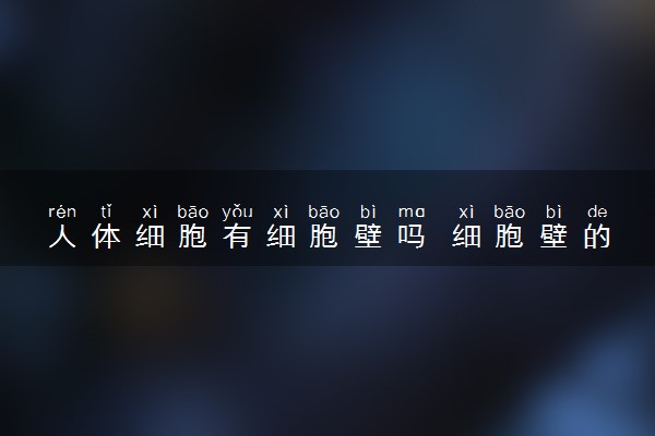 人体细胞有细胞壁吗 细胞壁的结构