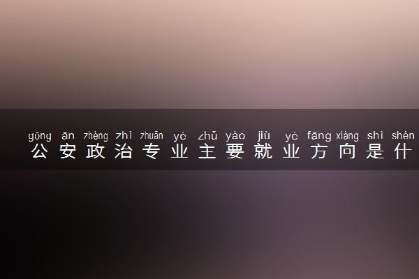 公安政治专业主要就业方向是什么 毕业以后工资高吗