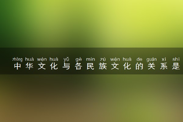 中华文化与各民族文化的关系是什么