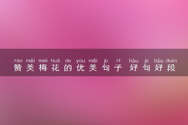 赞美梅花的优美句子 好句好段摘抄