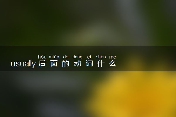 usually后面的动词什么形式