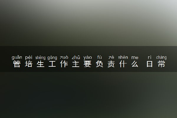 管培生工作主要负责什么 日常工作有哪些