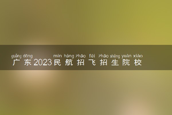 广东2023民航招飞招生院校及要求