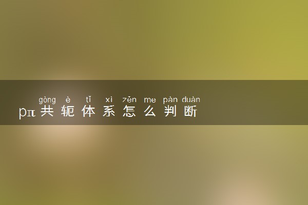pπ共轭体系怎么判断