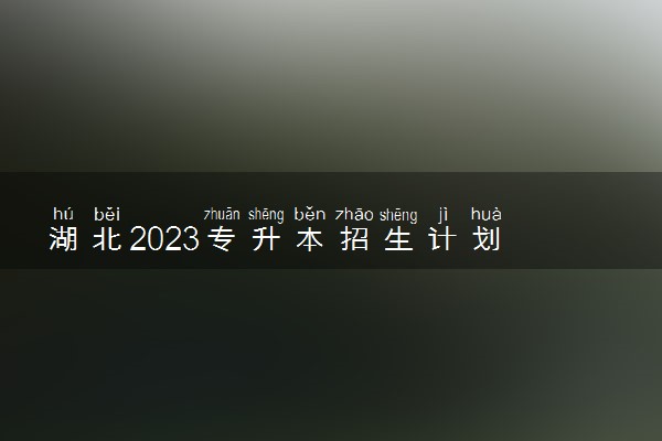 湖北2023专升本招生计划 招生条件是什么
