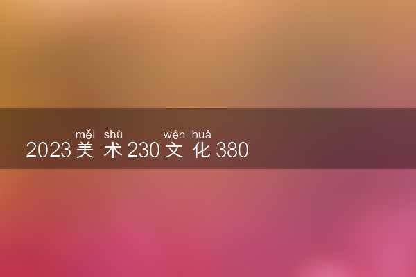 2023美术230文化380能上什么大学