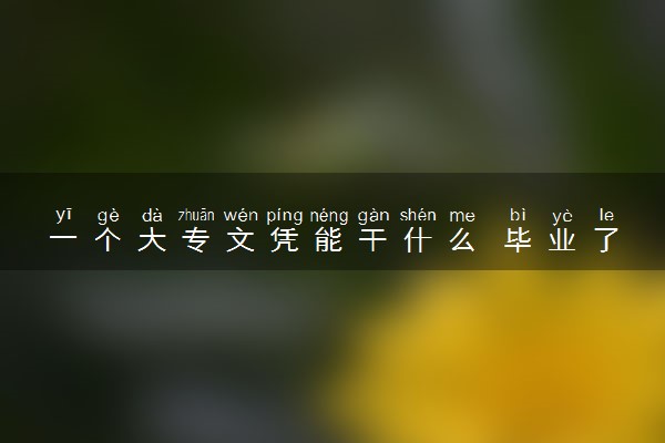 一个大专文凭能干什么 毕业了可以做什么