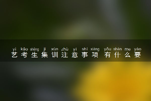 艺考生集训注意事项 有什么要了解知道的