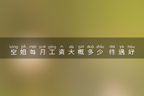 空姐每月工资大概多少 待遇好吗
