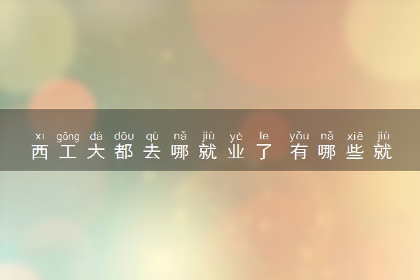 西工大都去哪就业了 有哪些就业方向