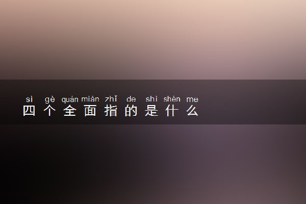 四个全面指的是什么