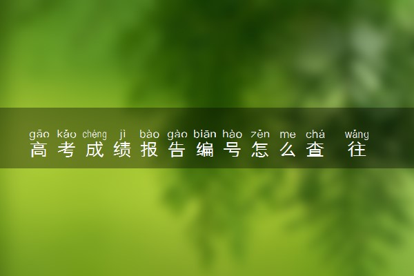 高考成绩报告编号怎么查  往届成绩在哪查