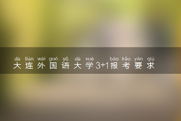 大连外国语大学3+1报考要求