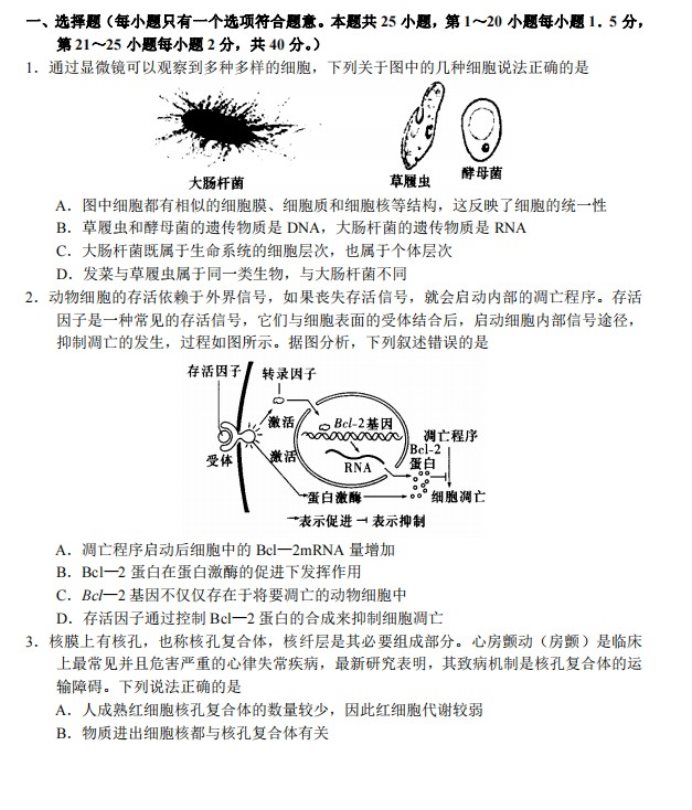 宁夏石嘴山第一中学高考生物全真模拟密押卷