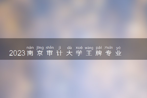 2023南京审计大学王牌专业 哪些值得推荐