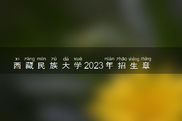 西藏民族大学2023年招生章程